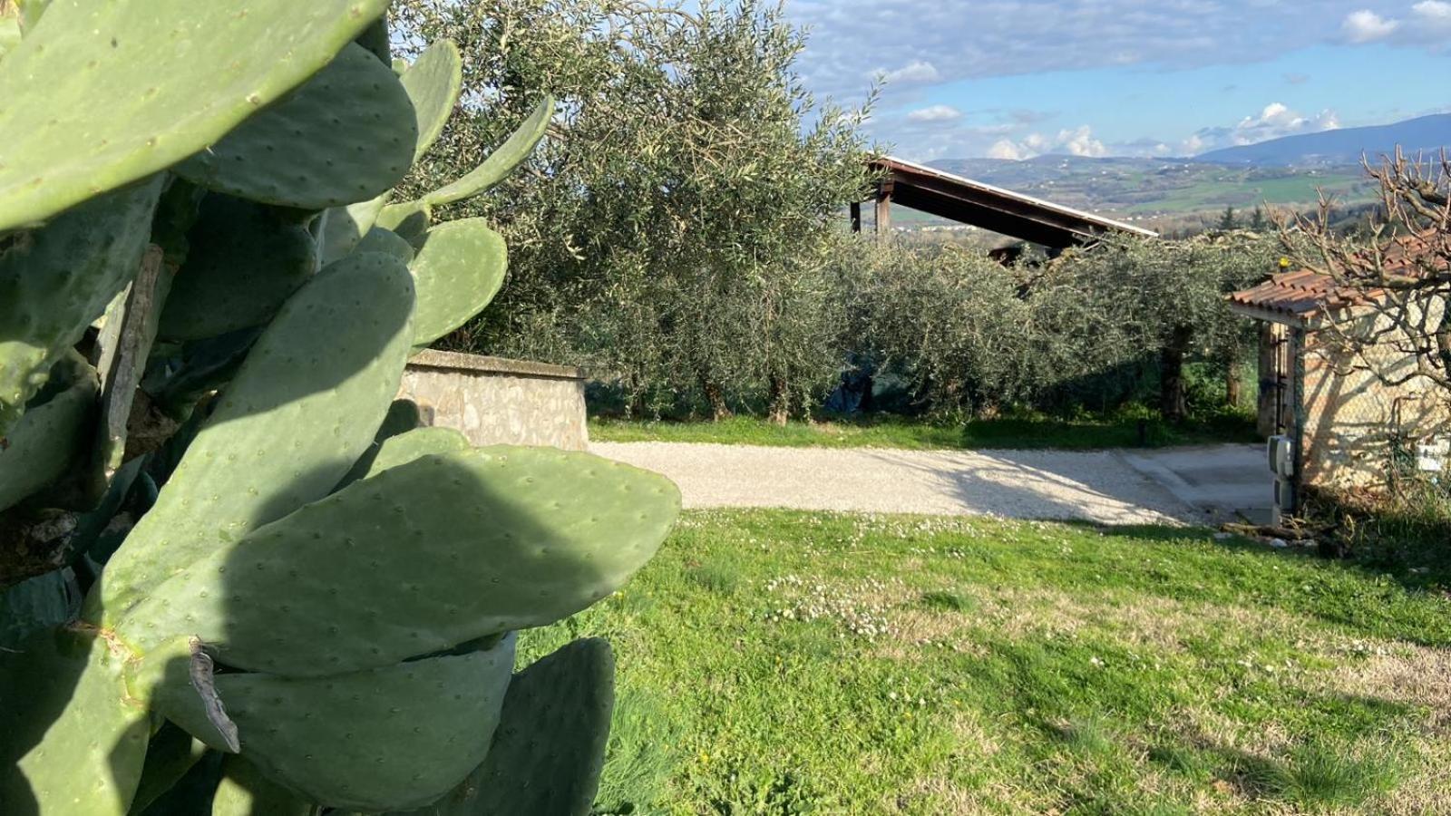 Casa Civico22 Villa Fratta Todina Kültér fotó